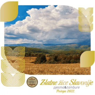Razni Izvođači - Zlatne Žice Slavonije Požega 2022. (CD)